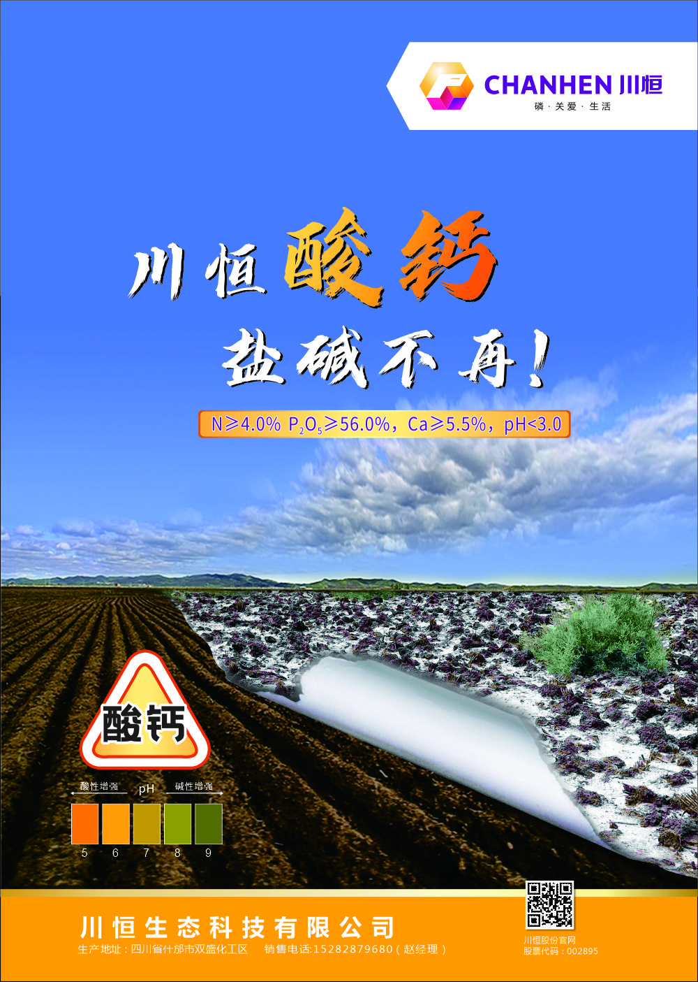 帝康DM單正面